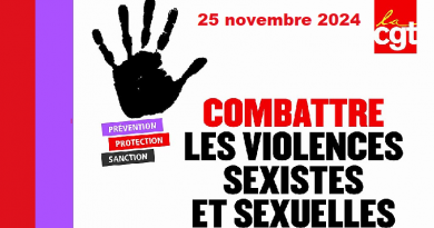 Le 25 novembre, journée internationale pour l’élimination des violences faites aux femmes